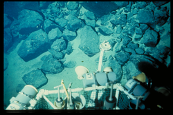Rubble and sediment viewed during Alvin dive 532.
