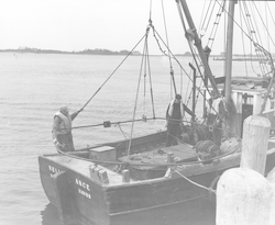 Charles Wheeler, Elmer Barstow and Lennert Blomberg aboard Reliance
