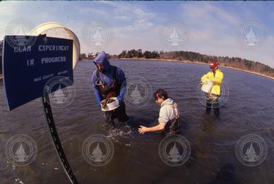 Bruce Lancaster, Dale Leavitt, and James Weinberg collecting clams.
