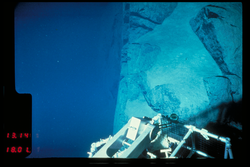 Manipulator sampling steep wall viewed during Alvin dive 613.