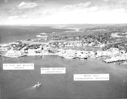 Aerial view of Woods Hole village, including WHOI, MBL, and U.S. Fish and Wildlife Service