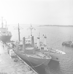 Oceanus, Knorr and Wecoma at WHOI dock.