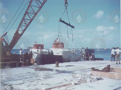 Sea Cliff and Turtle at unknown dock