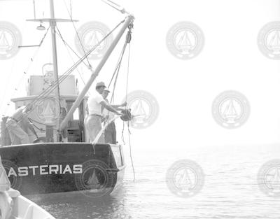 Working on deck of the Asterias