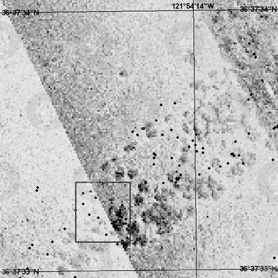 Detail of Squid sonar data.