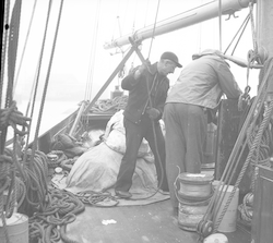 Ted Howell and bosun loading supplies on Caryn.