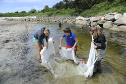 Ellie Bors (center) showing undergrads how to use a seine net for sampling.