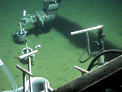 ROV Jason using an injector corer to recover a sample.