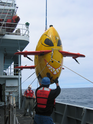 AUV Sentry, complete with painted face, suspended for deployment.