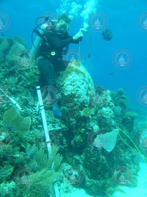 Konrad Hughen coring a coral.