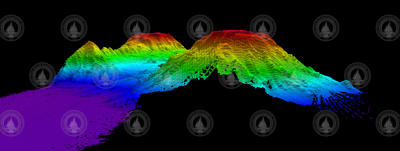 Multibeam sonar image of Manning Seamount.