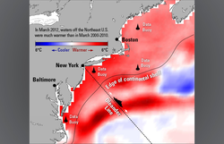 Sea surface temperature map of Atlantic coast.