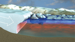 Effects of warming water on Greeland ice sheet outflow into fjords.