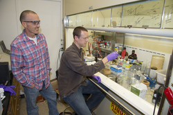 Greg O'Neil and Chris Reddy working with Isochrysis algae in Reddy's lab.