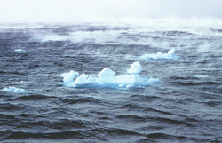 Iceberg sculpture in the Labrador Sea.