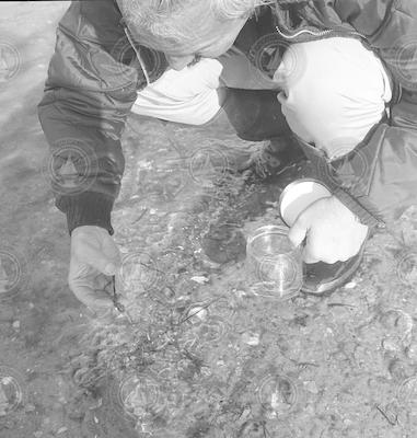 Collecting samples after oil spill.
