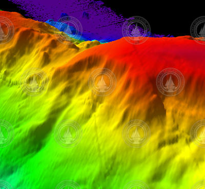 Multibeam sonar image of Kelvin Seamount.