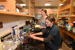 Kate Morkeski (back) and Kristina Brown work on CHANOS 2 in the lab.