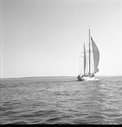 Aries under sail, stern view