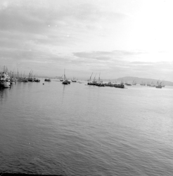 View of harbor in Bombay India