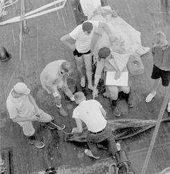 Porpoise on deck with group of people