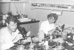 Two men working in ship lab aboard Anton Bruun