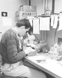 Rudolf Scheltema working in Biology laboratory