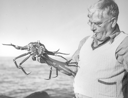 William Schroeder holding a red crab