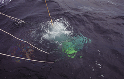 VPR (video plankton recorder) going underwater