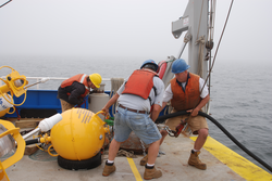Christopher Clark, Jim Dunn, and Jim Ryder deploying right whale buoy mooring.
