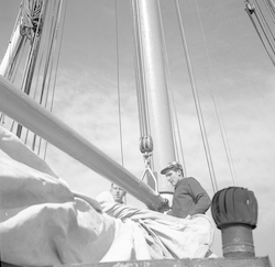 Bending sail on Caryn cruise 3.