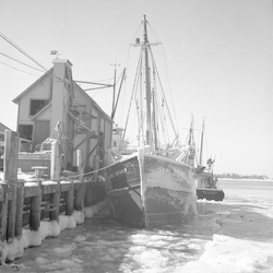 Ice on vessels at Sam Cahoon's dock.