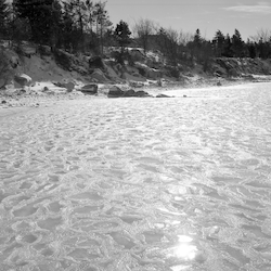 Ice on Little Harbor.