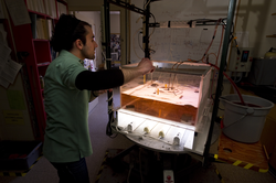 Visting student Domenico Mussardo monitoring fluid dynamics in the lab.