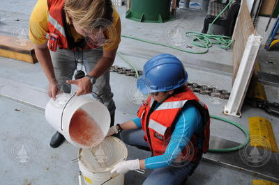 Pouring recovered biological samples from one bucket to another.