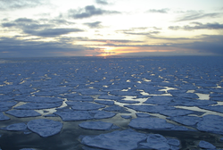 Pancake ice on the surface of the northern Chukchi Sea.