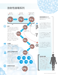 Infographic depicting radioactive decay chains (Japanese version)