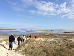 Students hiking out to the tidal flats in Dennis, MA.