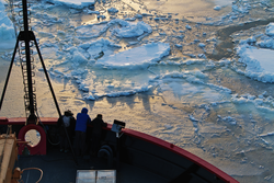 Researchers observing icy waters off the bow deck of USCGC Healy.