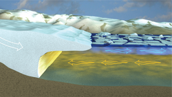 Effects of winds on glaciers flowing from the Greenland ice sheet into fjords.