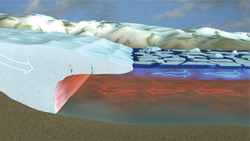 Effects of warming water on Greeland ice sheet outflow into fjords.