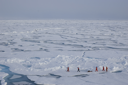 The survey team returning to the ship over the ice.