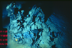 Dead black smoker at a hydrothermal vent field.