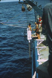Red Sea instrument deployment off a ship.