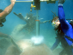 Coral coring operations off the USVI.