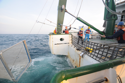 Researchers recovering a net off the stern of the Ka'imikai-o-Kanaloa.