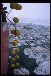 Maneuvering flotation balls along a mooring line away from an ice floe.