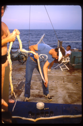 Bob Ballard with tubeworm recovered at Galápagos Rift.