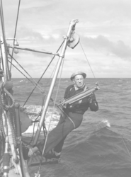 Arnold Clarke conducting a hydrographic station, shown deploying a Nansen bottle.