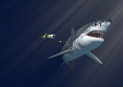 Illustration of a great white shark being chased by REMUS SharkCam.